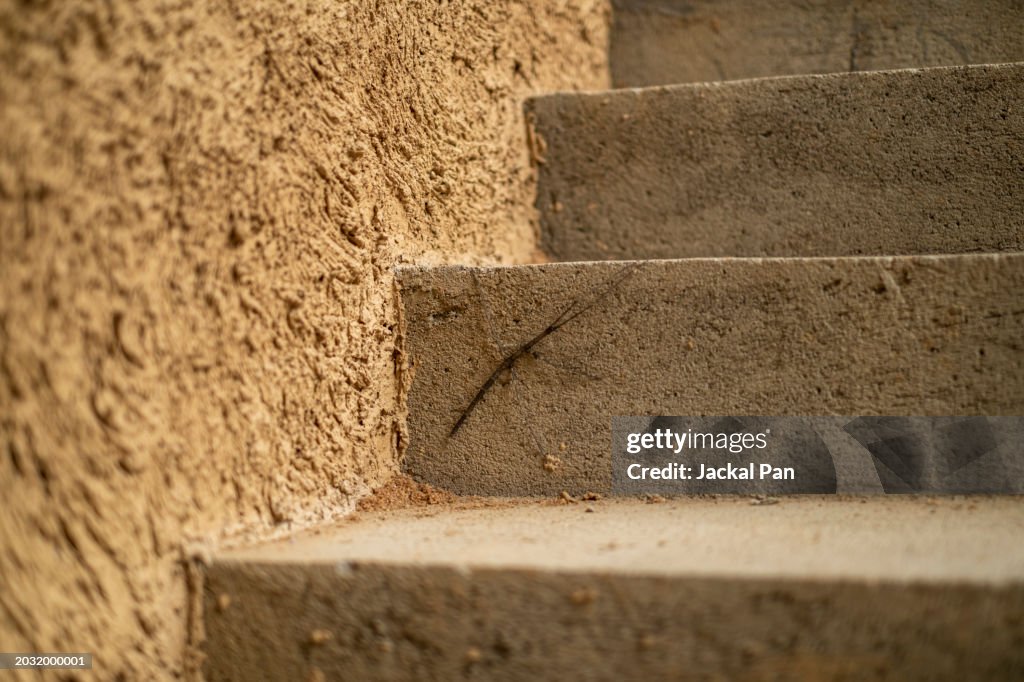 Bamboo joint insects on clay stairs