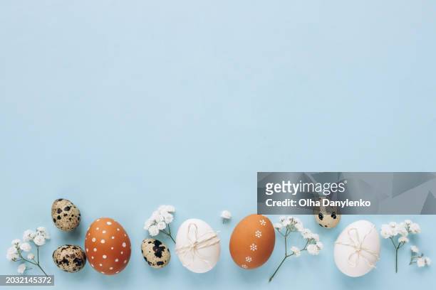 easter holiday card. easter eggs and natural flower decoration over blue background - happy easter stock pictures, royalty-free photos & images