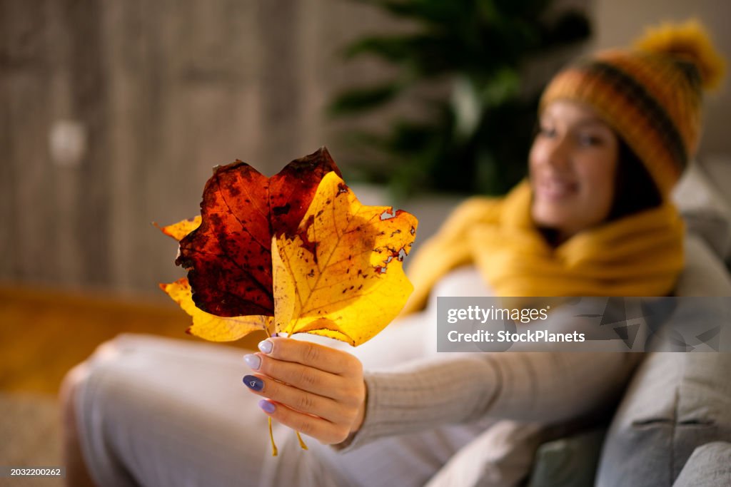 Autumn leaves in the hand of a pregnant woman at home