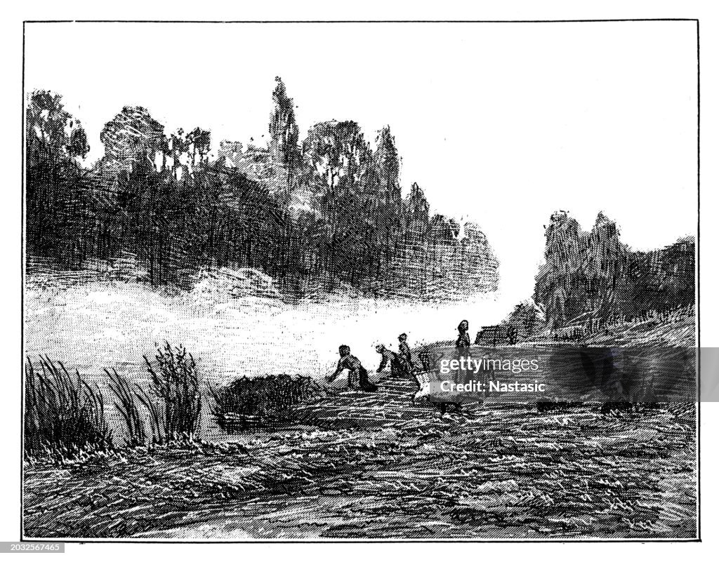 Fog at The Oise, near Saint Leu