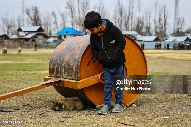 Boy is playing with a puppy named Tiger at a local ground in Baramulla, Jammu and Kashmir, India, on February 26, 2024.