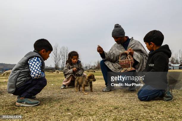 Ashu Jan is feeding her puppy, Tiger, at a local ground in Baramulla, Jammu and Kashmir, India, on February 26, 2024.