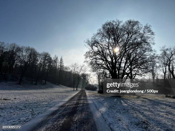 empty road amidst trees against sky during winter - weimar stock pictures, royalty-free photos & images