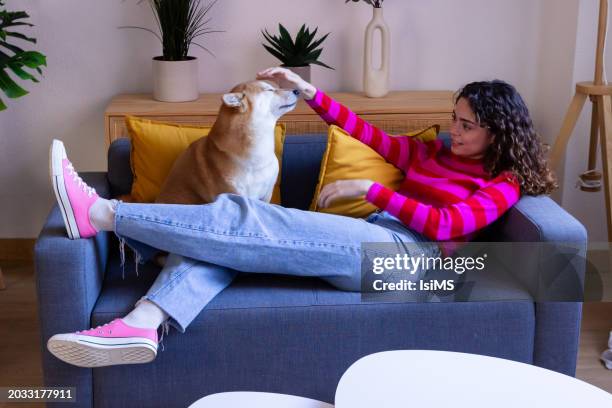 woman relaxing on couch with playful dog - pink shirt stock pictures, royalty-free photos & images
