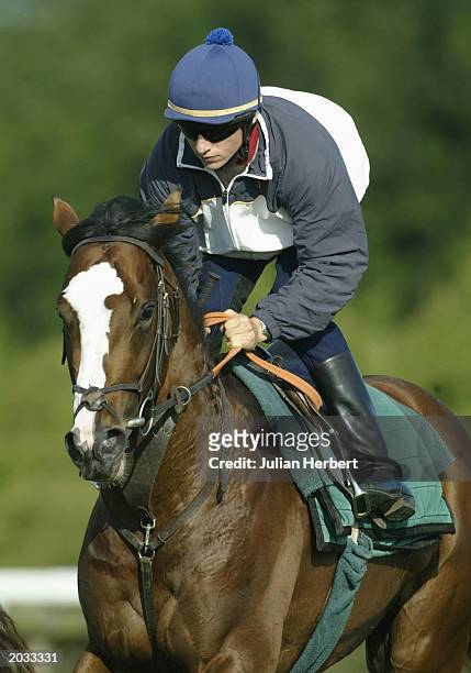Eddie Ahern puts the Gerrard Butler trained Vodafone Derby Entry Shield through his paces during an early morning gallops at Epsom Racecourse on May...