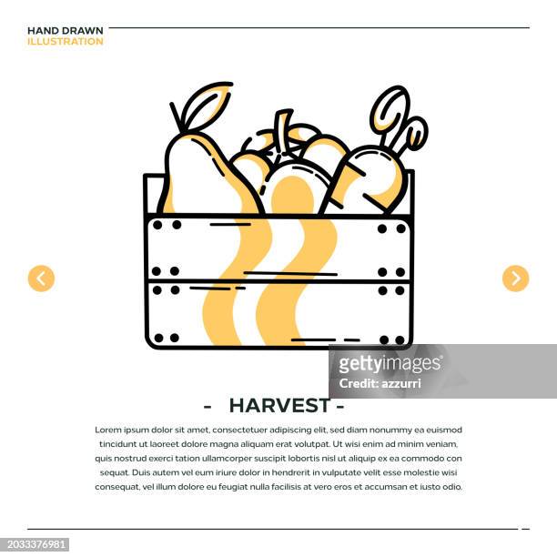 harvesting hand drawn icon design - vegetable garden vector stock illustrations