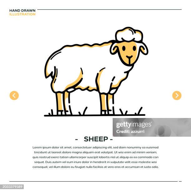sheep hand drawn icon design - sheep stock illustrations