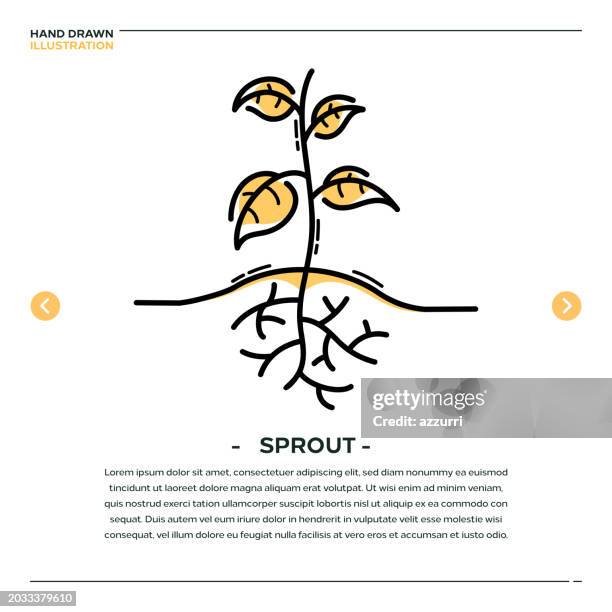 sprout hand drawn icon design - root stock illustrations