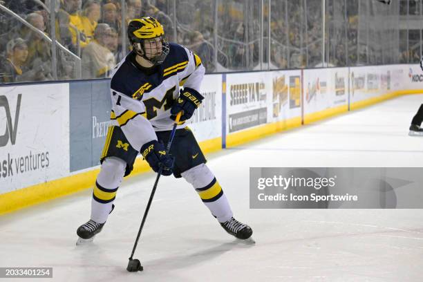 Michigan Wolverines forward Garrett Schifsky looks to pass during a college hockey game between the Michigan Wolverines and Notre Dame Fighting Irish...