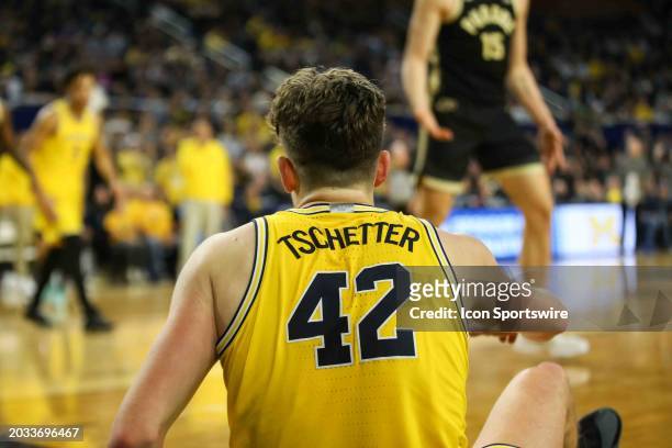 Michigan Wolverines forward Will Tschetter looks on as he sits on the court during a Big Ten Conference college basketball game between the Purdue...