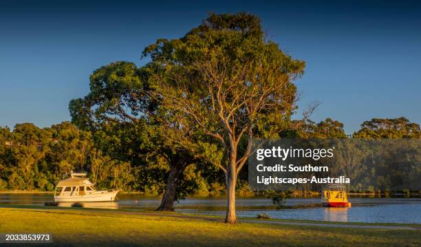 north arm and a summer dawn, lakes entrance, east gippsland - gippsland lakes stock pictures, royalty-free photos & images