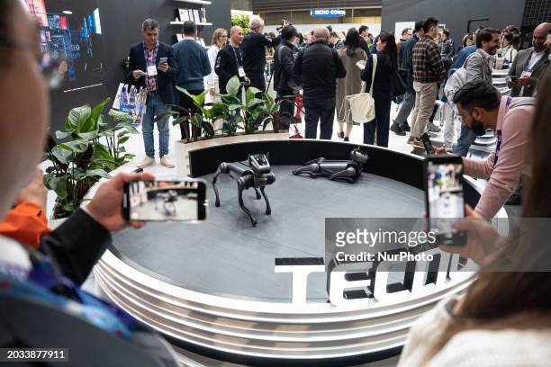 Tecno Mobile, the Chinese company, is presenting its Tecno Dynamic 1 robot dog, powered by artificial intelligence, at the Mobile World Congress in...