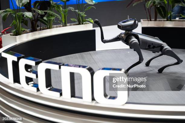 Tecno Mobile, the Chinese company, is presenting its Tecno Dynamic 1 robot dog, powered by artificial intelligence, at the Mobile World Congress in...