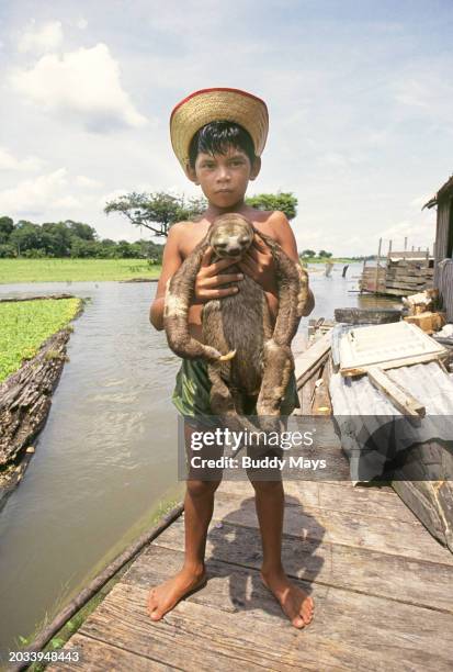 Young Indian boy on a small floating house holds a baby three-toed sloth he is trying to sell to visitors on a small tributary of the Amazon River,...