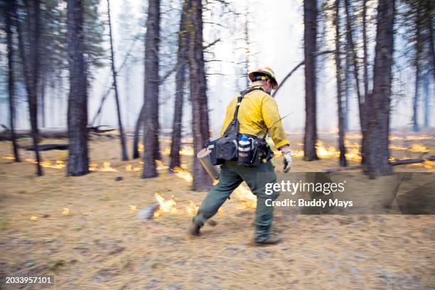 Forrest Firefighting 664 Us Forest Fires Crews Stock Photos, High-Res Pictures, and Images ...