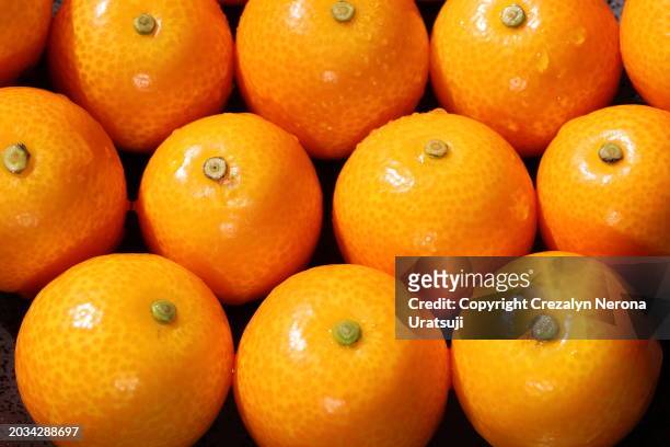 kumquat the tiniest fruit with an edible peel extreme close up - kasukabe stock pictures, royalty-free photos & images