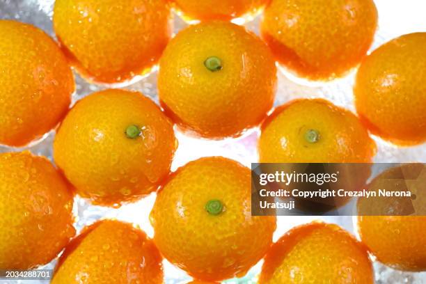 kumquat the tiniest fruit with an edible peel on glass background with back lit - kasukabe stock pictures, royalty-free photos & images