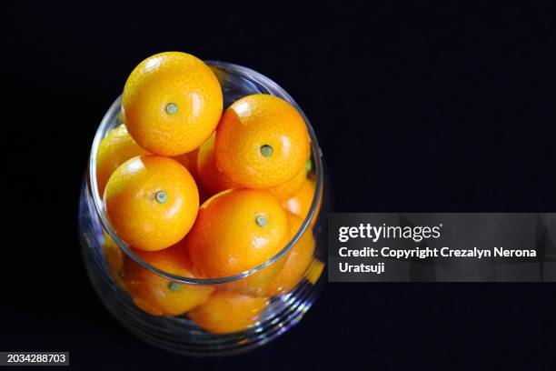 kumquat the tiniest fruit with an edible peel in black background - kasukabe stock pictures, royalty-free photos & images