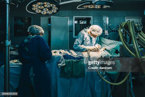 the surgeon performs the thoracic-cardiovascular operation in the operating theatre. - chirurgien photos et images de collection