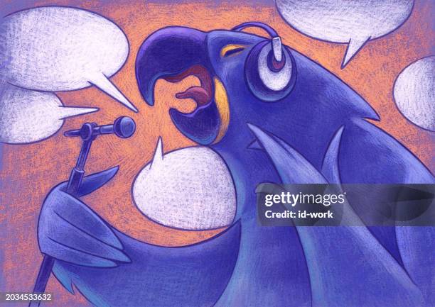 parrot holding microphone and delivering messages - funny parrot stock illustrations