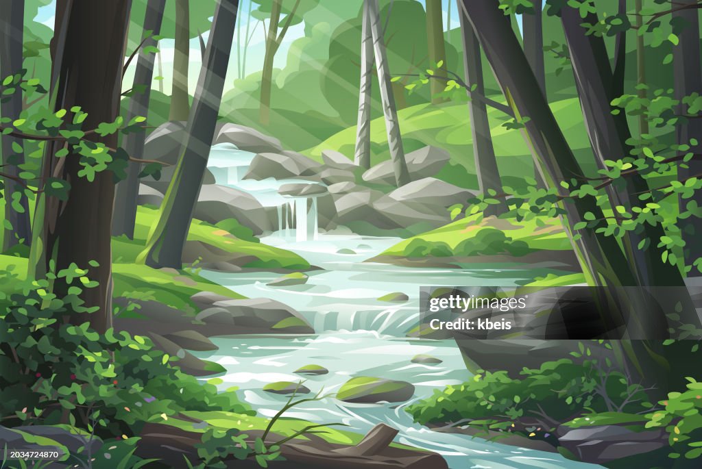 Córrego na floresta idílica