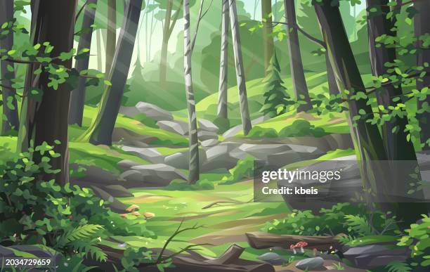 idyllic forest with sun rays shining through trees - forest floor stock illustrations