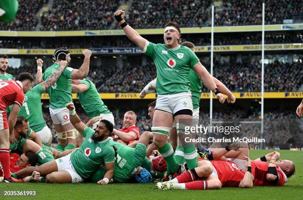 Joe McCarthy of Ireland celebrates after Dan Sheehan scores his team's first try during the Guinness Six Nations 2024 match between Ireland and Wales...