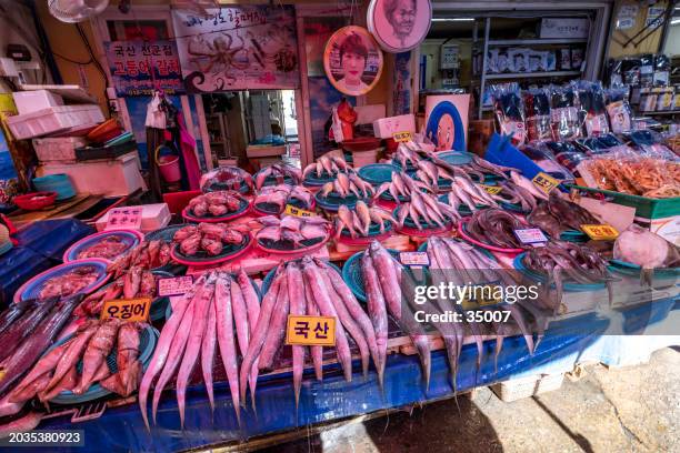 frische meeresfrüchte auf dem jagalchi fishmarket in busan, südkorea - fischmousse stock-fotos und bilder