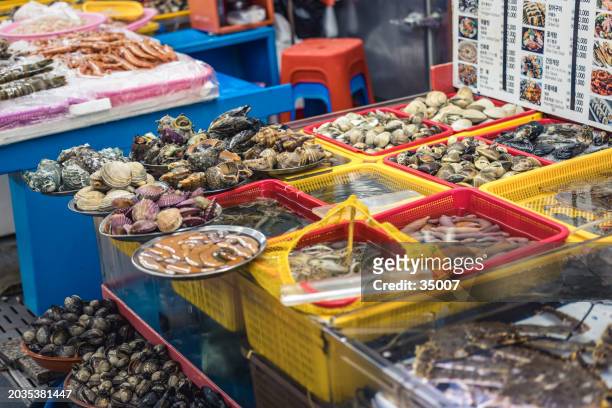 frische meeresfrüchte auf dem jagalchi fishmarket in busan, südkorea - fischmousse stock-fotos und bilder