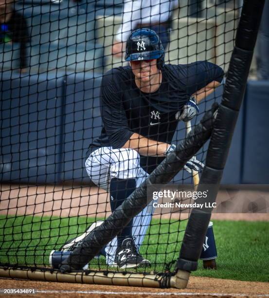 New York Yankees infielder DJ LeMahieu at batting practice during spring training in George M Steinbrenner Field in Tampa, Florida on February 23,...