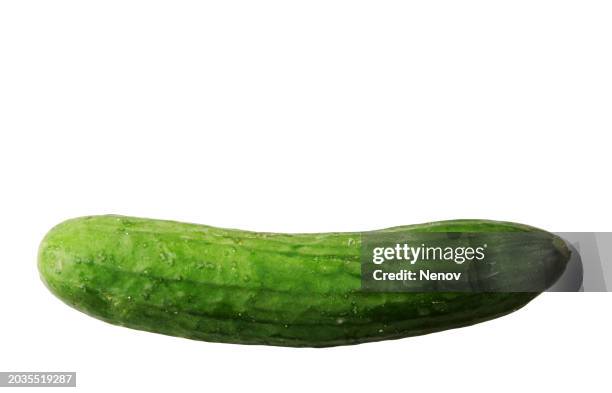 cucumber (cucumis sativus) isolated on white background - pepino imagens e fotografias de stock