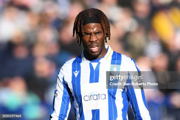 Ike Ugbo of Sheffield Wednesday during the Sky Bet Championship match between Sheffield Wednesday and Bristol City at Hillsborough on February 24,...