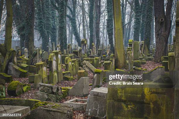 krakow new jewish cemetery - haredi judaism stock pictures, royalty-free photos & images