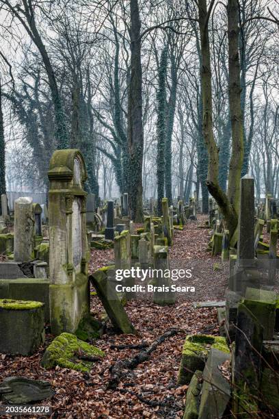 krakow new jewish cemetery - haredi judaism stock pictures, royalty-free photos & images