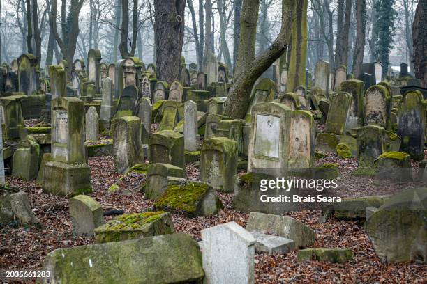 krakow new jewish cemetery - haredi judaism stock pictures, royalty-free photos & images