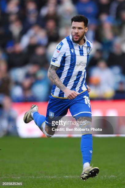 Marvin Johnson of Sheffield Wednesday during the Sky Bet Championship match between Sheffield Wednesday and Bristol City at Hillsborough on February...