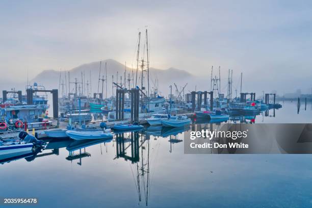 vancouver island british columbia - bc commercial fishing boats stock pictures, royalty-free photos & images
