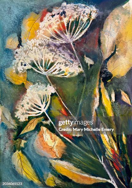cow parsley hedgerow plant - abstract painting stock illustrations