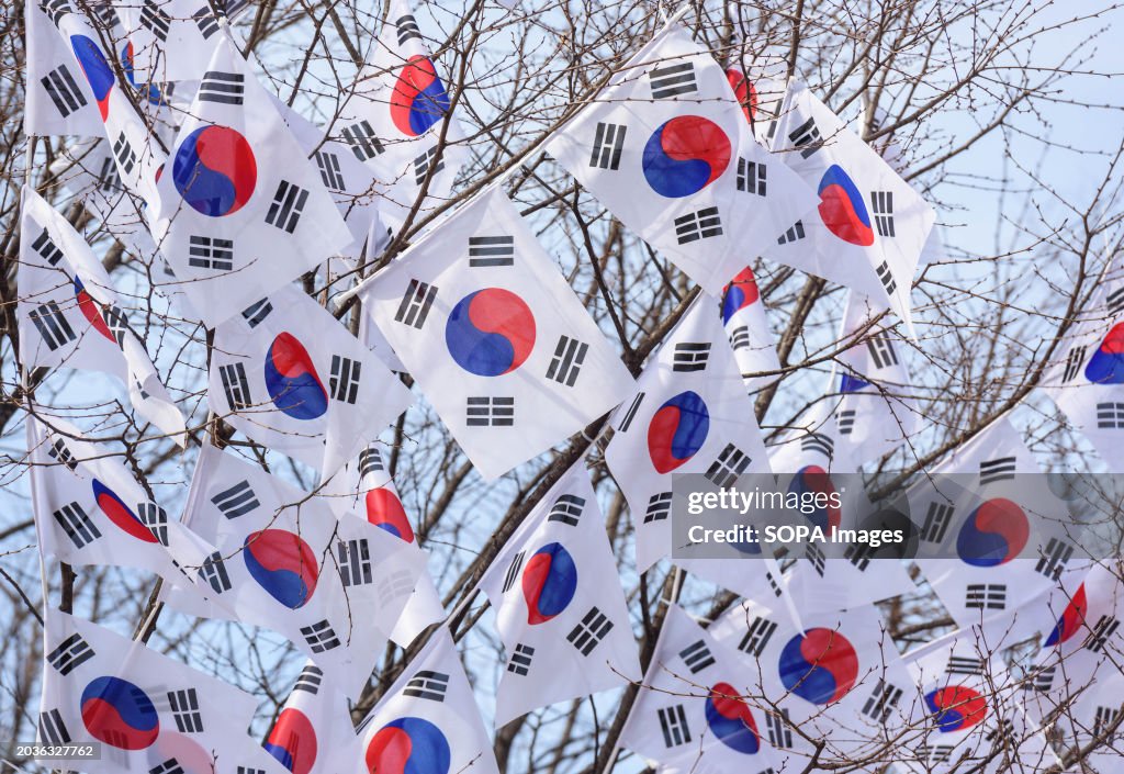 Trees are decorated with Taegeukgi, South Korea's national...