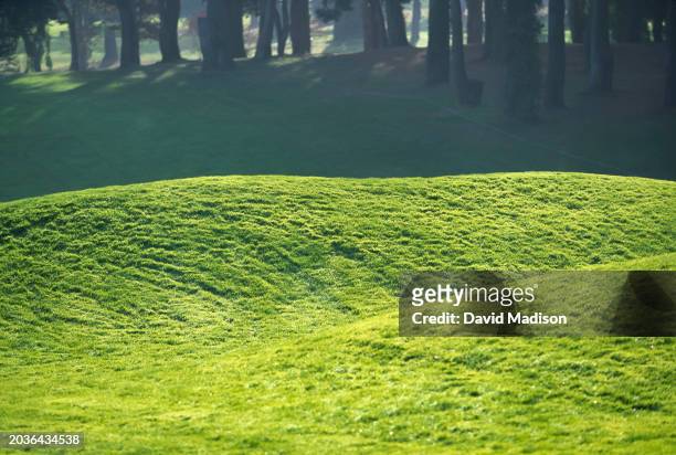 General view of the terrain of the 7th hole of Poppy Hills Golf Course during November 1993 in Pebble Beach, CA.