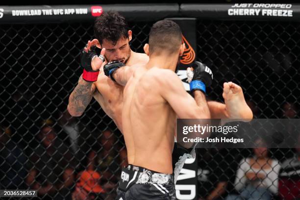 Fares Ziam of France punches Claudio Puelles of Peru in a lightweight fight during the UFC Fight Night event at Arena CDMX on February 24, 2024 in...