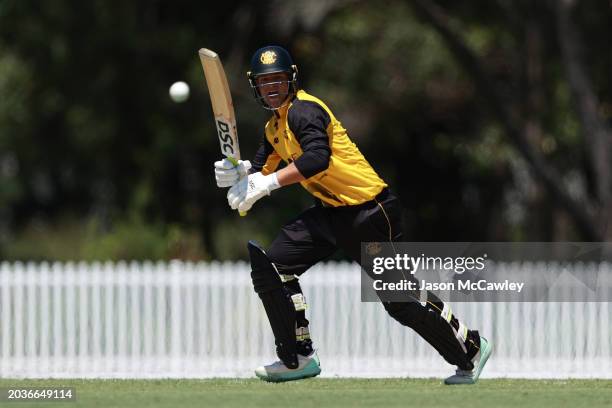 Josh Philippe of Western Australia bats during the March One Day Cup Final match between New South Wales Blues and Western Australia at Cricket...