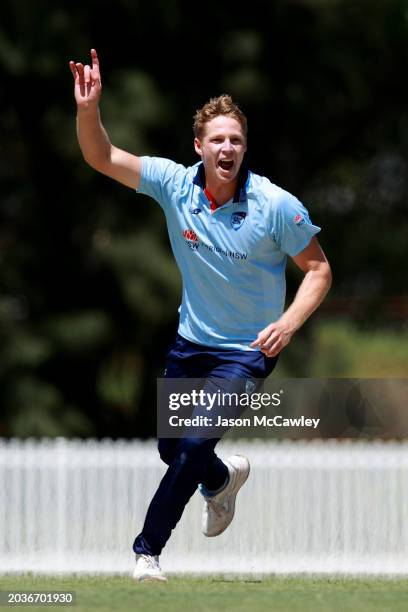 Jack Edwards of the Blues celebrates after taking the wicket of Sam Whiteman of Western Australia during the March One Day Cup Final match between...