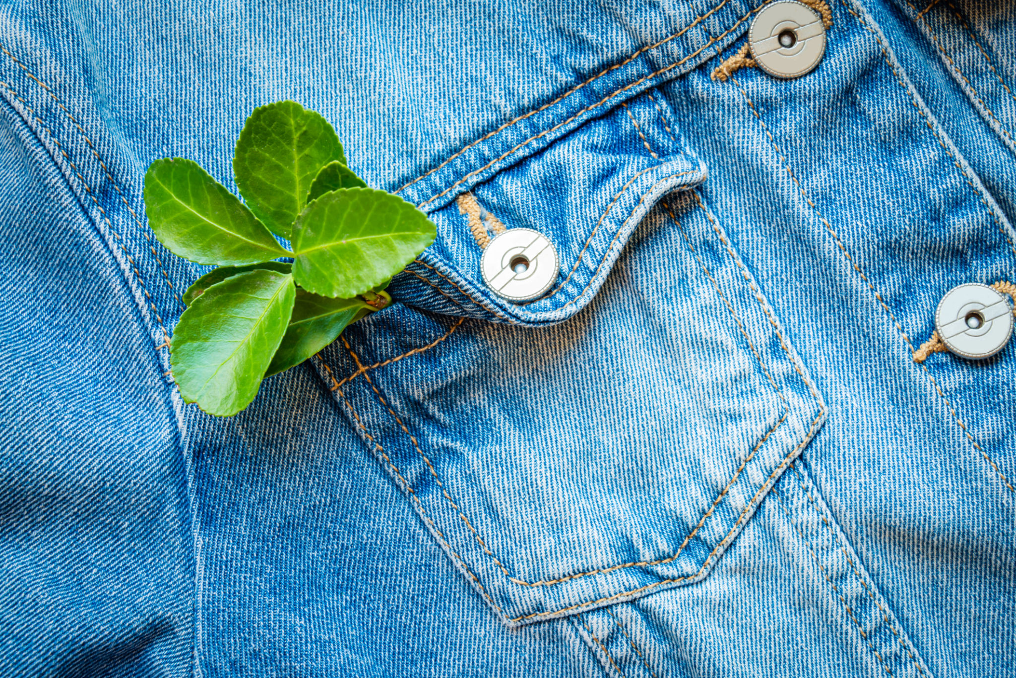 sustainable fashion