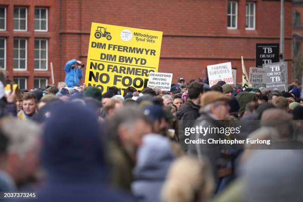 Protesters holding placards gather outside the Senedd on February 28, 2024 in Cardiff, Wales. Following peaceful demonstrations in Wrexham, Rhyl, Old...