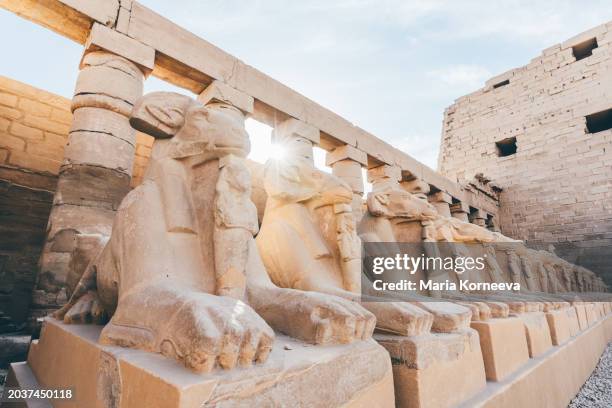 explores karnak ancient temples in egypt. - qena photos et images de collection