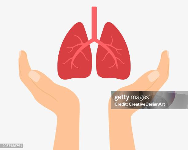 hands holding human lungs. world tuberculosis day on march 24. respiratory system disease treatment and organ donation concept - lung tissue stock illustrations
