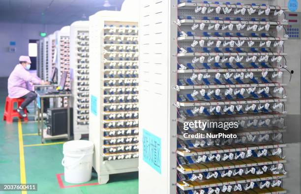 Batter Line Work 194 Lithium Ion Batteries Assembly Lines Stock Photos, High-Res ...
