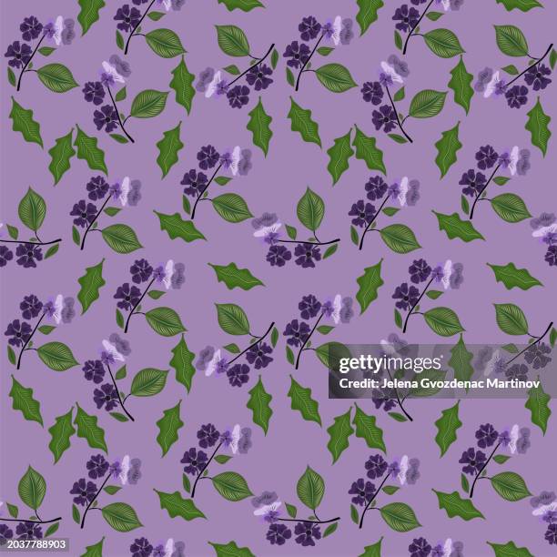 the butter flower purple. seamless pattern. - ranunculus stock illustrations