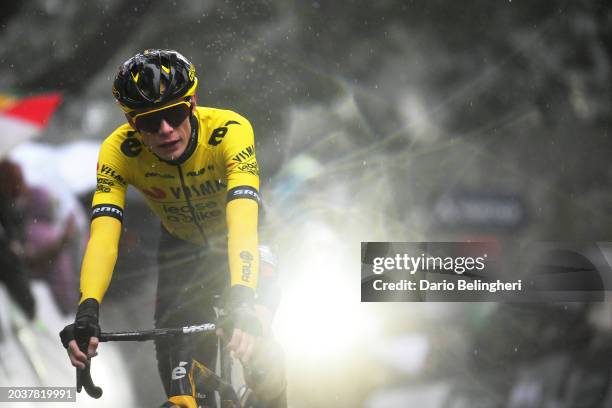 Jonas Vingegaard Hansen of Denmark and Team Visma | Lease a Bike - Yellow Leader Jersey celebrates at finish line as stage winner during the 3rd O...